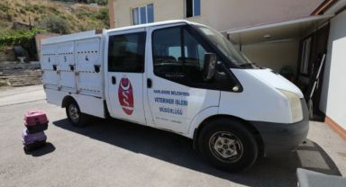 Narlıdere'de can dostlara özel ilgi