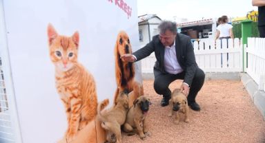 Bornova’da sokak canlarına özel ilgi
