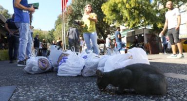 Buca Belediyesi bir gün değil her gün can dostlarının yanında