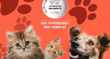 Kırçiçeği'nden her gün 3200 tabak sevimli dostlara gidiyor