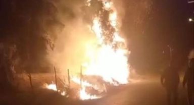 Zeytin ağaçlarının yakılmasının ardından nöbet tutan köylüler rahat bir gece geçirdi