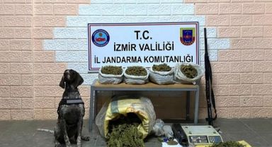 Ağaç kovukları ve parkelerin altına uyuşturucu gizlemişler