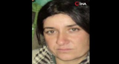 MİT'ten Irak'ın kuzeyinde nokta operasyon