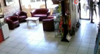 Muayene ücreti ödemek istemeyen şahıslar, veteriner hekim ve teknikeri darp etti