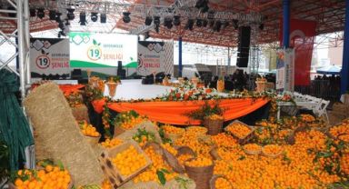 Seferihisar 22. Mandalina Şenliği’ne hazır