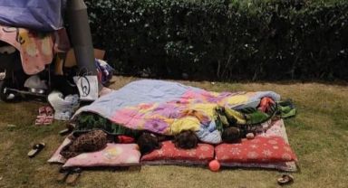 Şiddetten kaçarak sokakta kalan anne ve 4 çocuğuna yardım eli