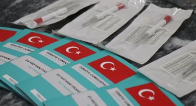 Ev hayvanlarının dijital kimliklendirilmesi için son iki gün