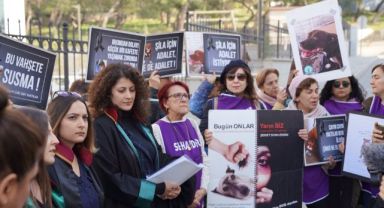 Kulübesini ateşe vererek köpeği öldürdüğü ileri sürülen şahıs tutuksuz yargılanacak