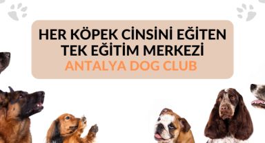 Antalya’da En İyi Köpek Eğitim Merkezi