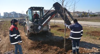 Torbalı Belediyesi yeşile doymuyor