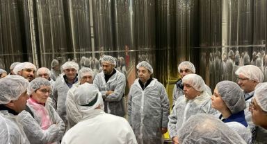 Zeytin zeytinyağı sektörü 2022/23 sezonunu değerlendirecek