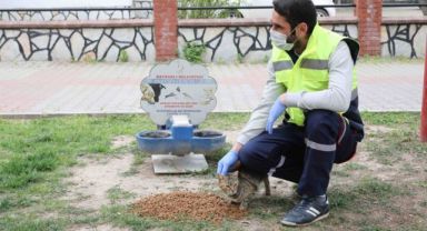 Bayraklı Belediyesi can dostları unutmadı