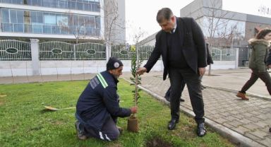 Karşıyaka meyve bahçeleriyle donatılacak