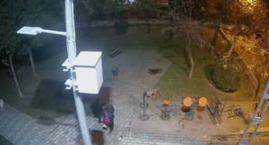 Sokak köpeklerine ateş eden saldırganının önünde siper oldu!