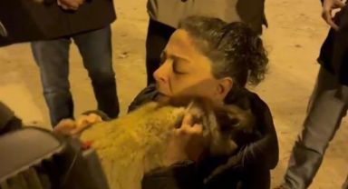 Diyarbakır'da 17 gündür enkazda olan 2 kedi kurtarıldı