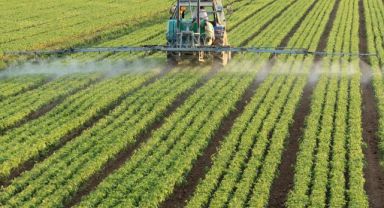 Ege’nin tarım ihracatı 10 milyar dolara ulaşacak