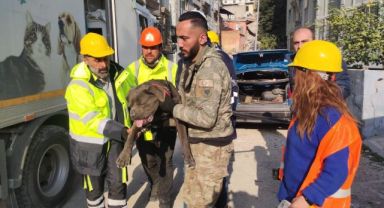 İzmir Büyükşehir Belediyesi depremden etkilenen hayvanları unutmadı