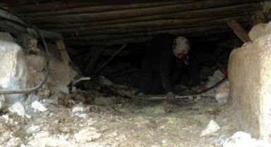 Sürünerek girip enkazın altındaki ineğini besliyor