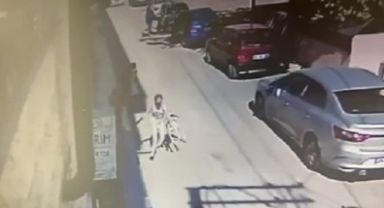 5 yaşındaki çocuğa ve kadına saldıran köpeğin sahibine hapis talebi