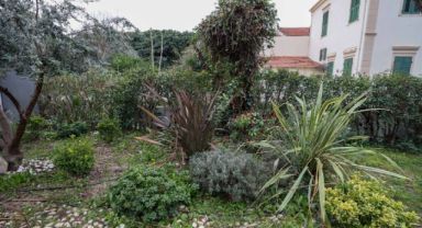 Buca’da yağmur suyu hasadı başladı