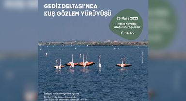Gediz Deltası’nda kuş gözlem yürüyüşü