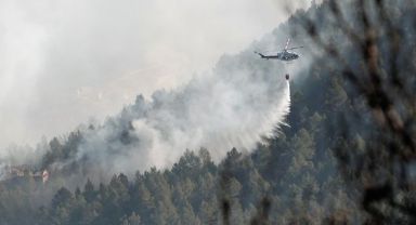 İspanya'daki orman yangınında 4 bin hektardan fazla alan kül oldu