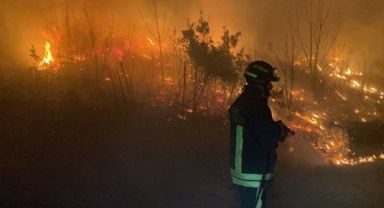 İtalya'da orman yangını: alevler evlere yaklaştı