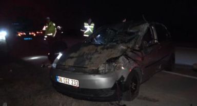 Navigasyonu ayarlarken dikkati dağılınca olanlar oldu!