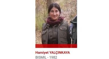Soylu'nun 'Türkiye'deki en üst düzey PKK'li' dediği Hamiyet Yalçınkaya hayatını kaybetti!