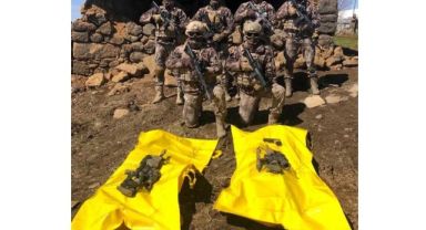 1'i mavi kategoride olan 2 terörist etkisiz hale getirildi