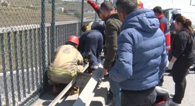 5 araçlı zincirleme kaza: 1'i ağır 3 yaralı