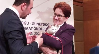 Akşener: Seçmeni velinimet görürüm!