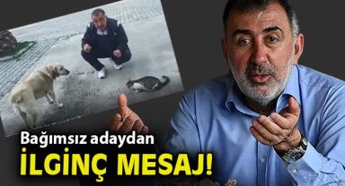 Bağımsız aday kedi-köpek videosu ile ne mesaj verdi?