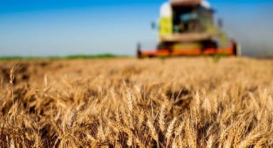 Tarımda yeni dönem!