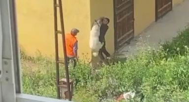 Buca'da köpeğe işkence