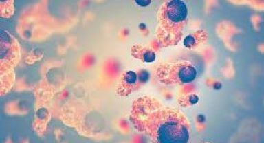 Kanserde Hücresel Tedaviler Projesine önemli destek