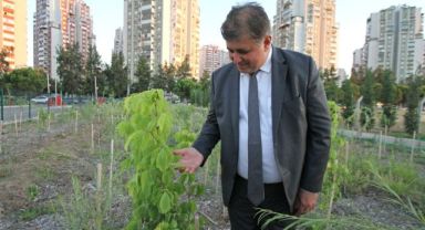 Karşıyaka’dan 4 yıllık yeşil hamle: 89 bin fidan 55 park