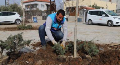 Menderes'te parklara bahar dokunuşu