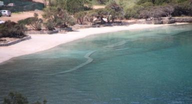 Sahile kum döktüler, denize beton blok yerleştirdiler