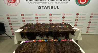 Valiz içerisinde kilolarca insan saçı ele geçirildi