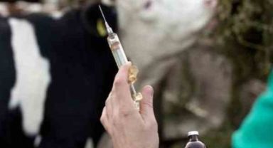 Yetişkinlerde aşı takvimi hayat kurtarıyor