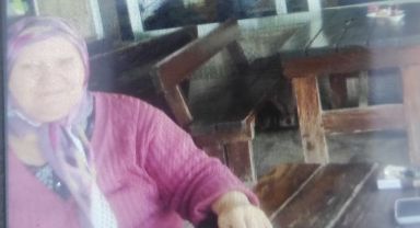 Babaanne cinayetinde 2 çocuk tutuklandı