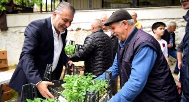 Bornova’da yerel üreticiye 500 bin fide
