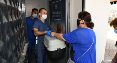 Hayvan kısırlaştırmada online hizmet dönemi