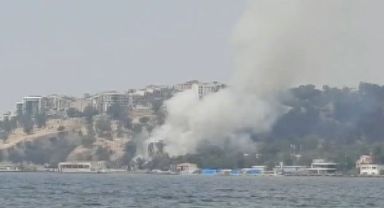 İzmir'de otluk alanda yangın