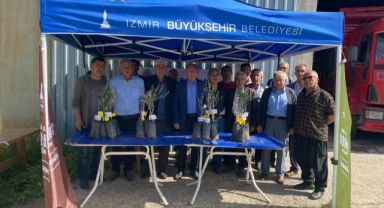 İzmir’den Osmaniye’ye 20 bin zeytin fidanı