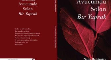 Naim Babüroğlu'nun ilk şiir kitabı raflarda