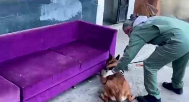Yakalanmamak için bunu bile yapmışlar