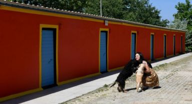 Yenilenen evcil hayvan rehabilitasyon merkezi kuşadası