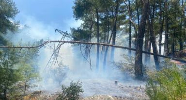 Antalya'da orman yangını!